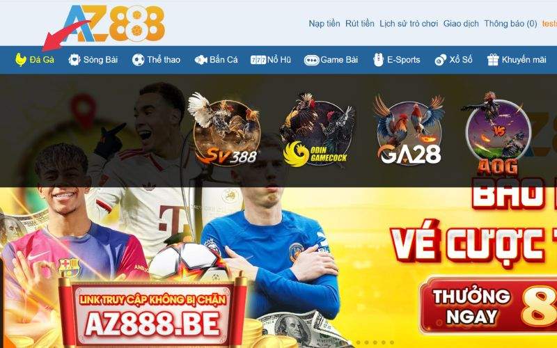 lựa chọn sảnh đá gà cựa sắt